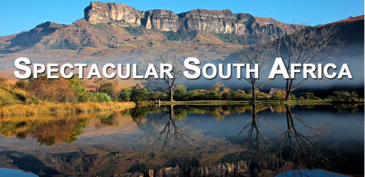south africa tour packages from chennai